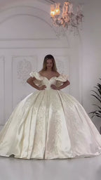 G21-031 Elfenbein Ballkleid Spitze Brautkleid und Kapellenschleppe