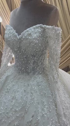 G21-053A - Champagner Spitze Prinzessinnen-Ballkleid Brautkleid